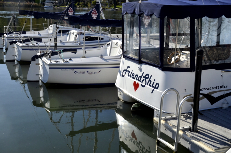 Friendship Fleet